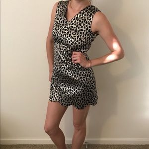 Cynthia Steffe Leopard Metallic Mini